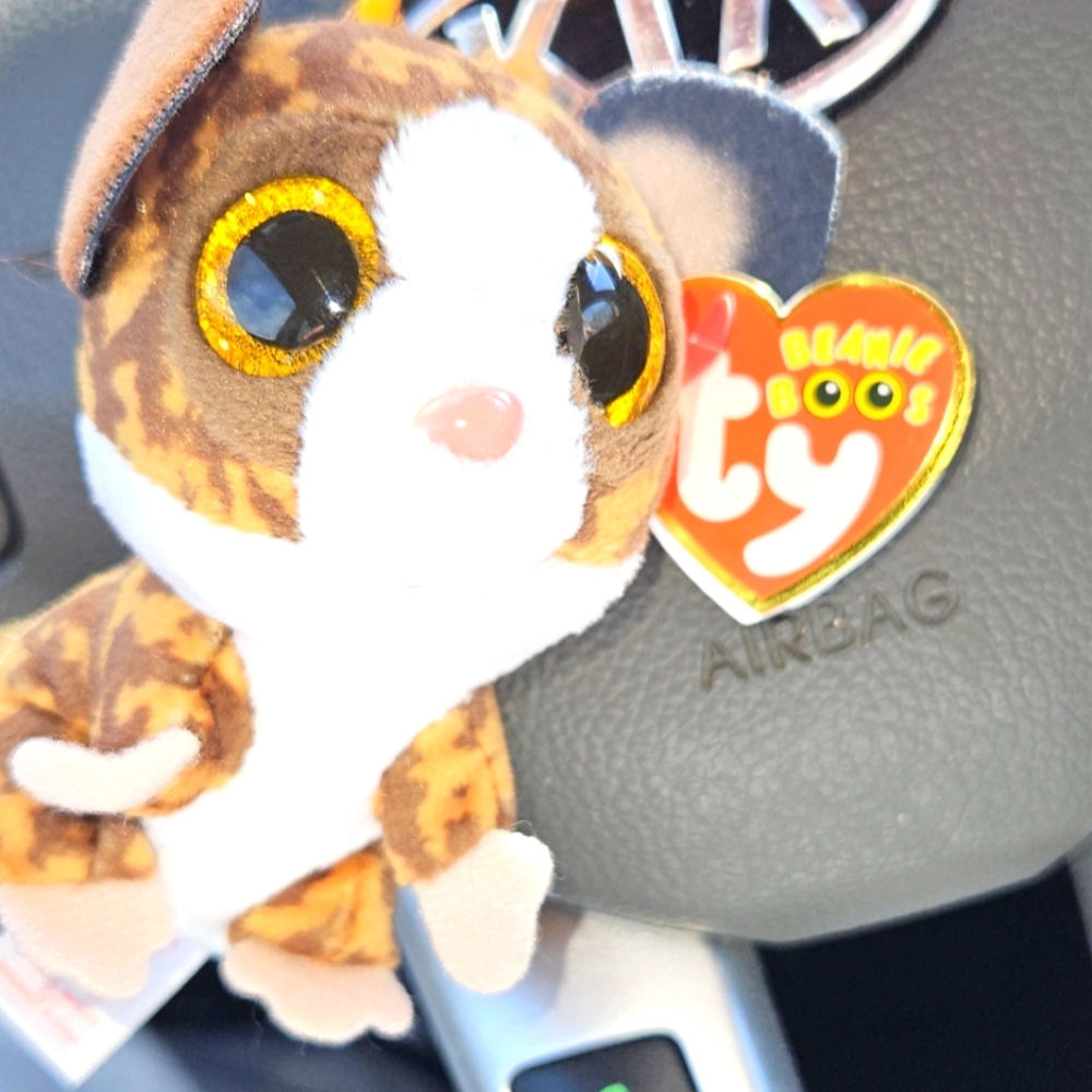 Ty Beanie Boos LOT